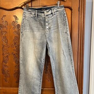 Judy Blue Light Blue High-Rise Straight Leg Jeans with Button Fly